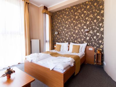 Aqua Hotel Kistelek - cheap hotel room in Kistelek 